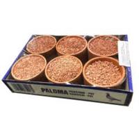 PALOMA PICK-POT 5+1