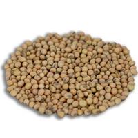 SOYA 25 KG